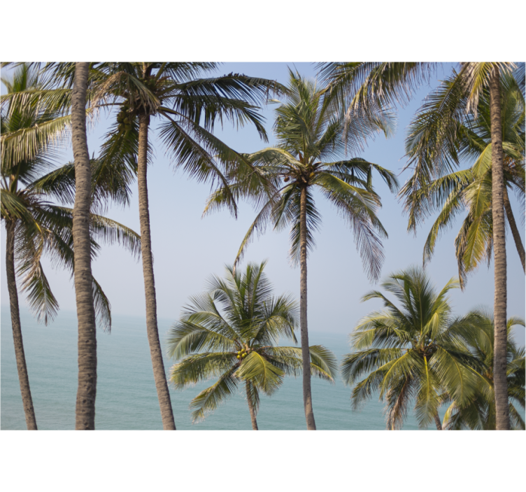 Fototapet natur palmelandskap - Tenstickers