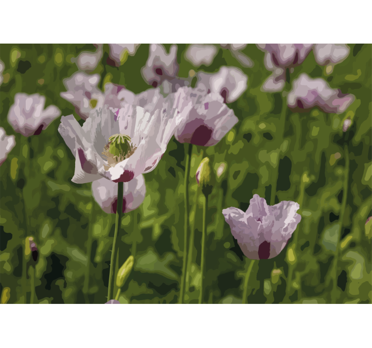 Fototapet valmue blomsterlig eleganse - Tenstickers