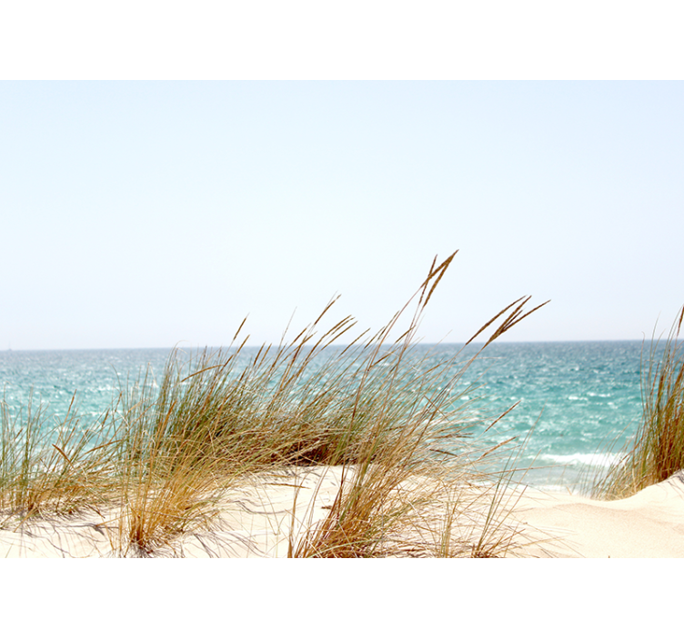 Strandstokk gress fototapet natur - Tenstickers