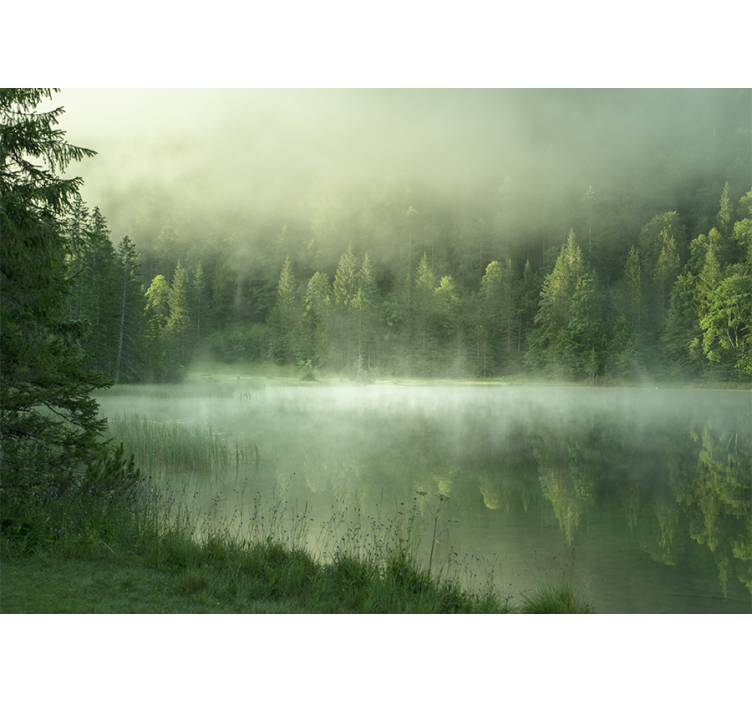 Fototapet natur misty lake refleksjon - Tenstickers