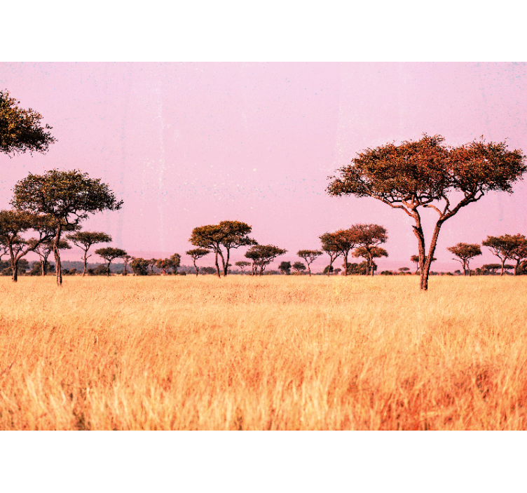 Original afrikansk savanne fototapet afrika - Tenstickers