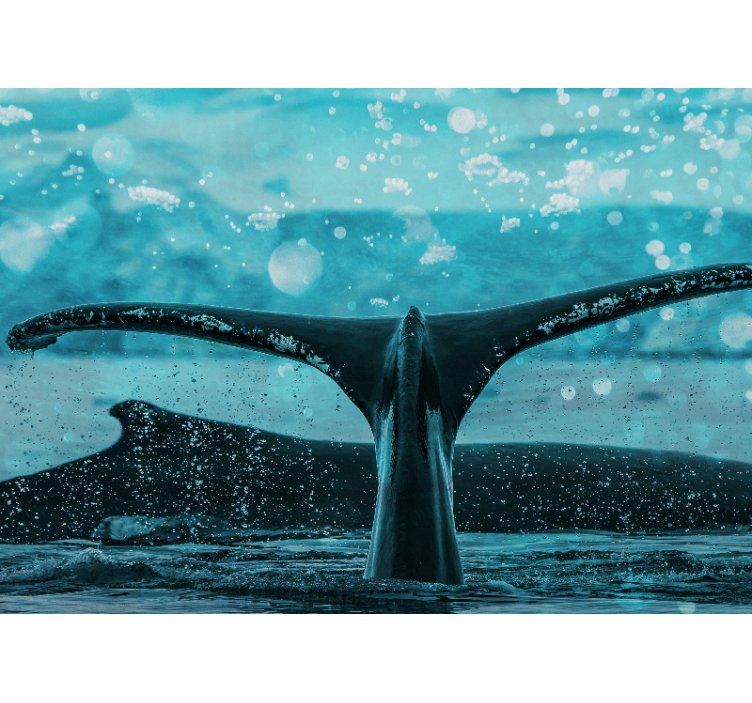 Fototapet dyr hvalfluke sprut - Tenstickers
