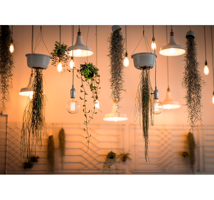 Fototapet natur hengende grønnakenter - Tenstickers