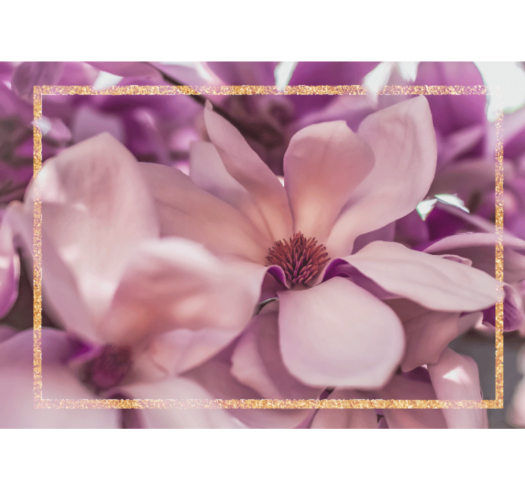 Fototapet blomster magnolia nærbilde - Tenstickers