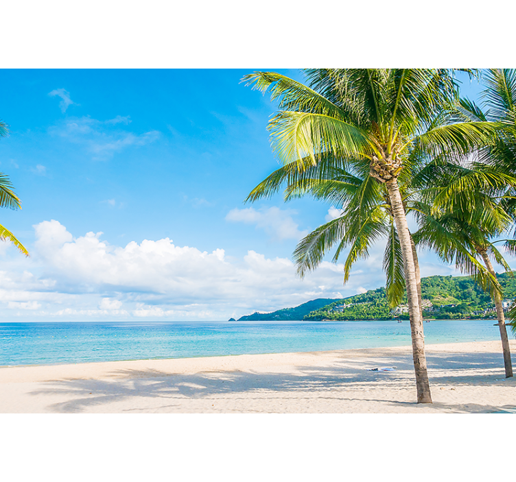 Fototapet natur tropisk kystparadis - Tenstickers