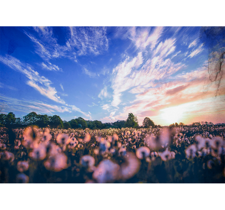 Fototapet blomster løvetannfeltets ro - Tenstickers