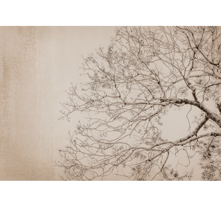 Fototapet trær vakker forgrening silhuett - Tenstickers