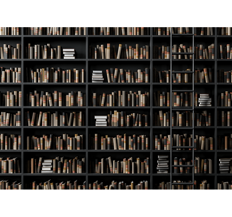 Fototapet stein bibliotekbok assortert - Tenstickers