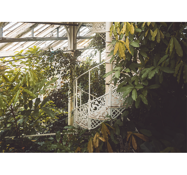 Fototapet natur lush greenery oase - Tenstickers