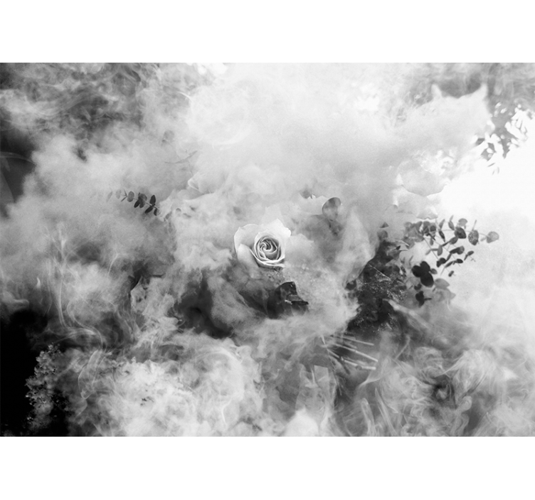 Fototapet blomster eterisk hvit rose - Tenstickers