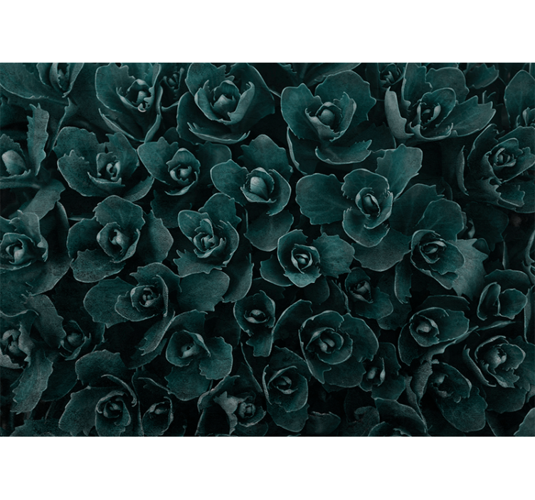 Fototapet blomster elegant roseblomstring - Tenstickers