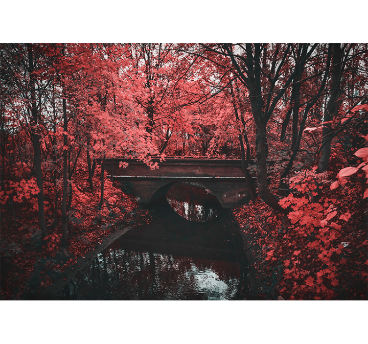 Fototapet natur rødbladet skog - Tenstickers