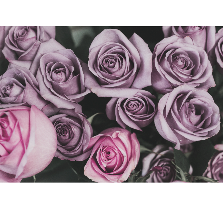 Fototapet blomster lavendelrose-bukett - Tenstickers