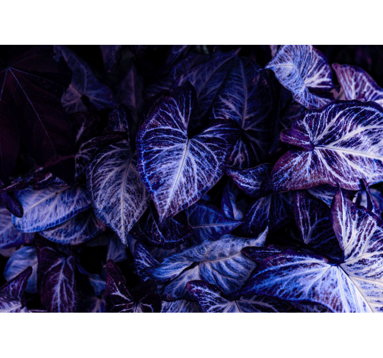 Lilla bladmønstre fototapet stue - Tenstickers