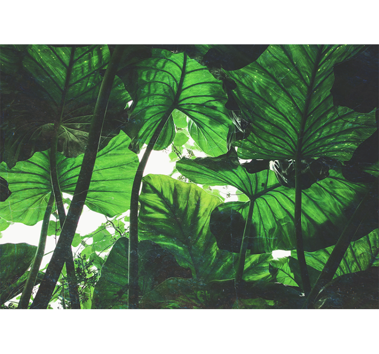 Fototapet natur frodig bladtak - Tenstickers