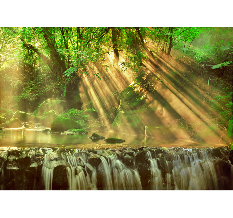 Flytende grønt fototapet natur - Tenstickers