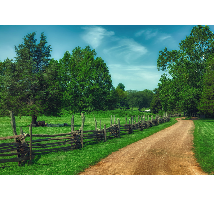 Sommer grønne trær fototapet skog - Tenstickers