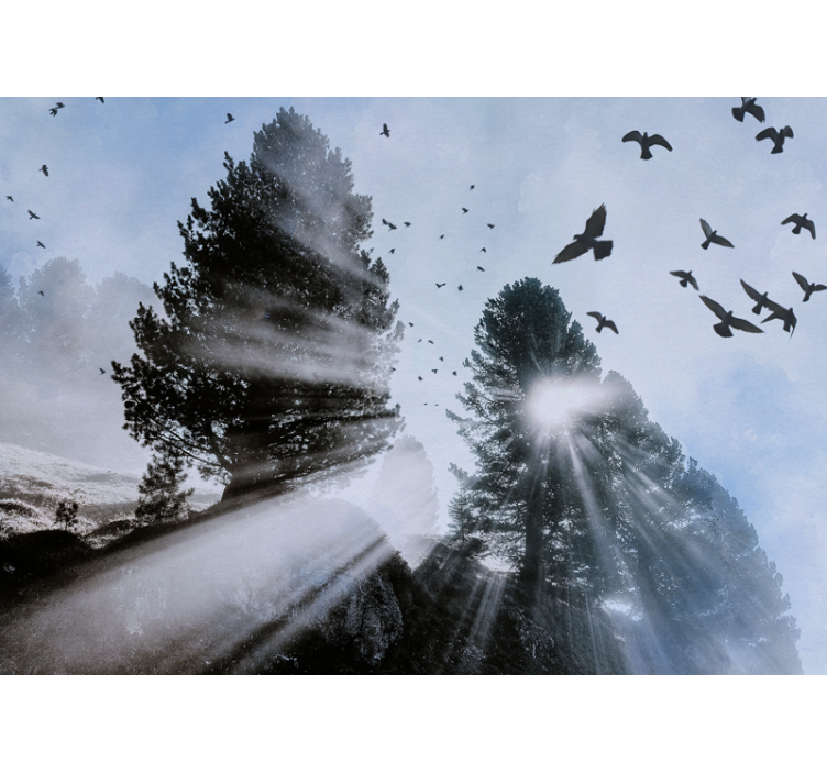 Strålende malmstråler med fugler fototapet skog - Tenstickers