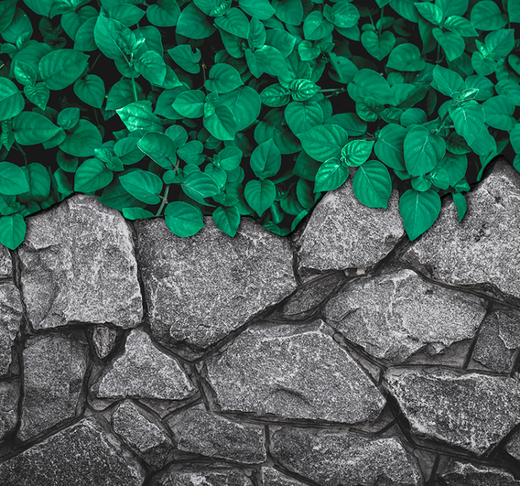 Frodig grønt kontrast fototapet natur - Tenstickers