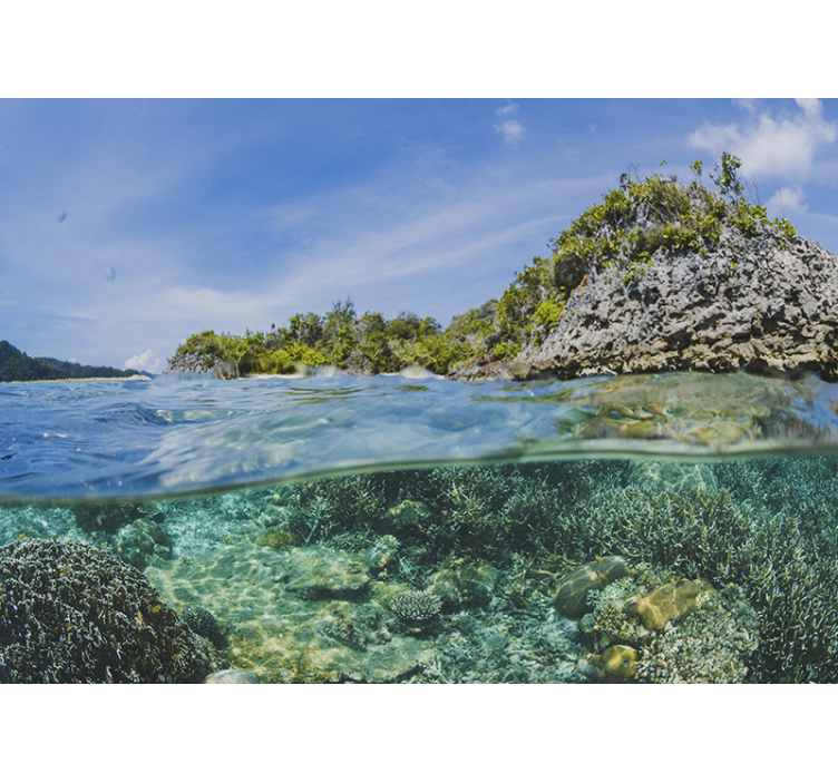Undervanns sjølandskap fototapet landskap - Tenstickers