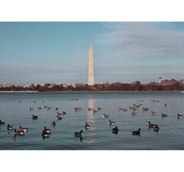 Fototapet byer washington monument refleksjon - Tenstickers