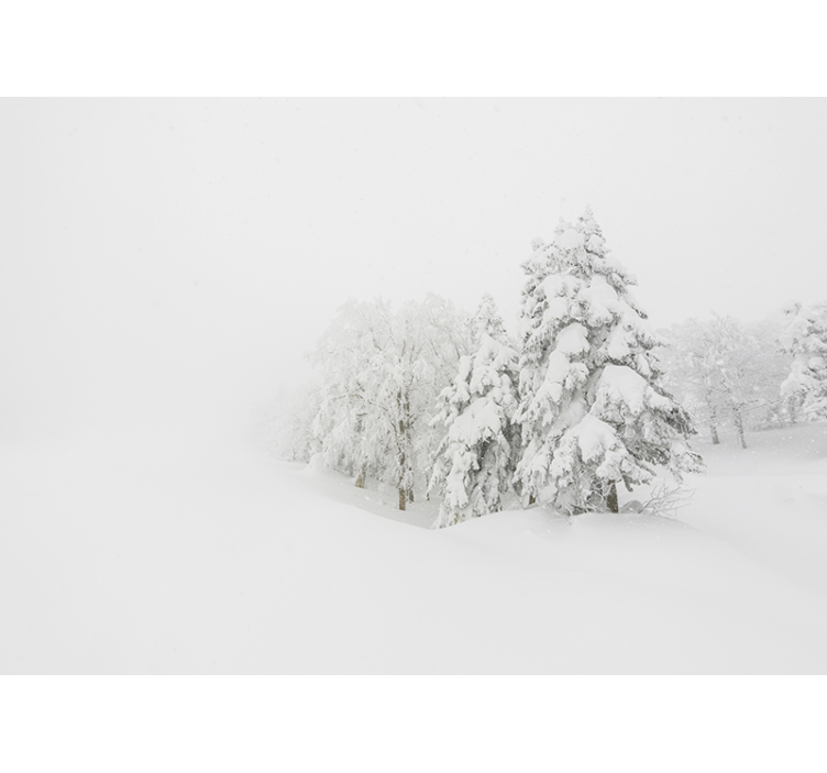 Vinterstorm og treskogfototapet - Tenstickers