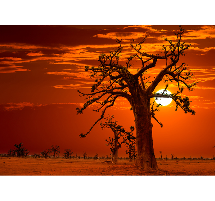 Afrikansk solnedgang landskap fototapet - Tenstickers