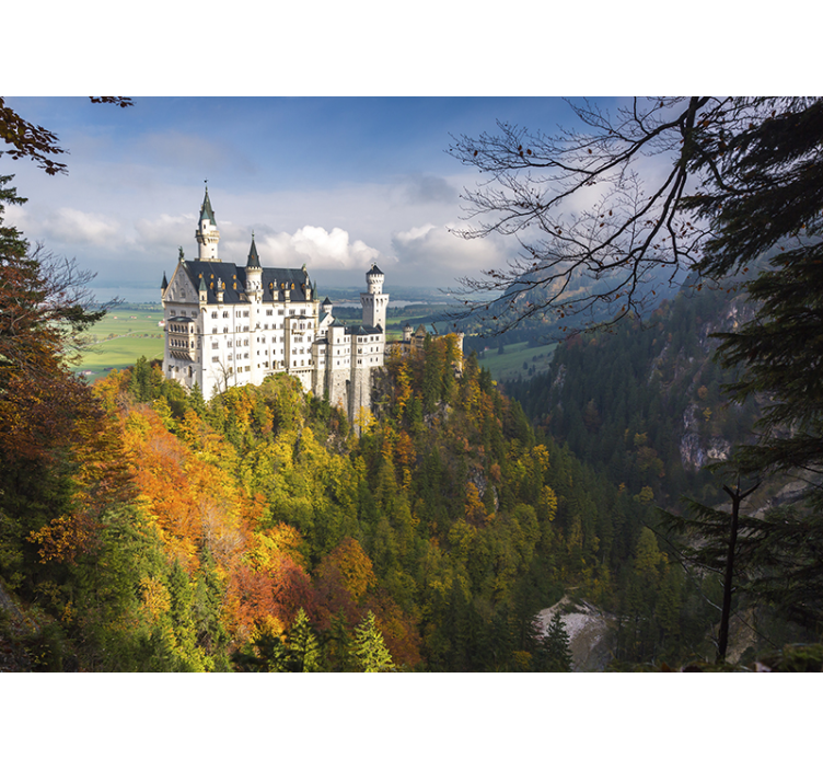 Neuschwanstein castle fototapet - Tenstickers