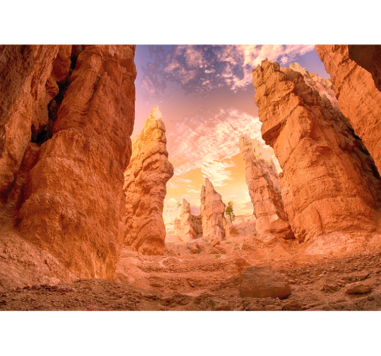 Rose canyon desert fototapet - Tenstickers