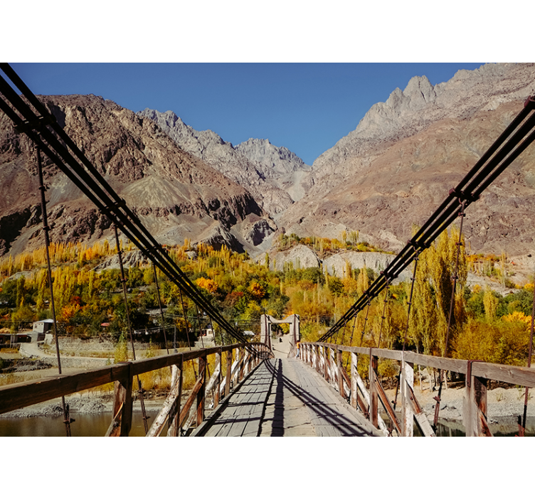 Livlig løvarrangement fototapet natur - Tenstickers