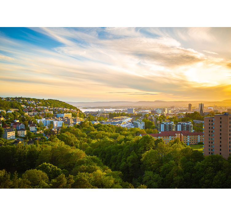 Oslo bygninger veggmaleri - Tenstickers