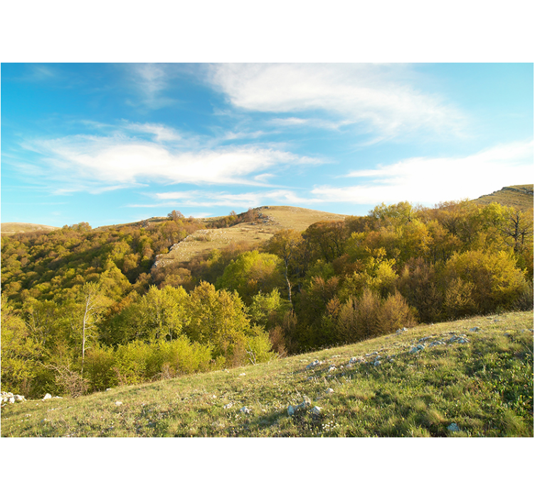 Fototapet landskap rullende åser - Tenstickers
