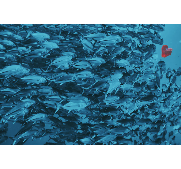 Veggfoto fisk i havet 3d klistremerke - Tenstickers