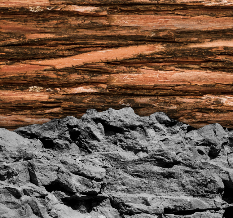 Tre og stein fototapet til stua - Tenstickers