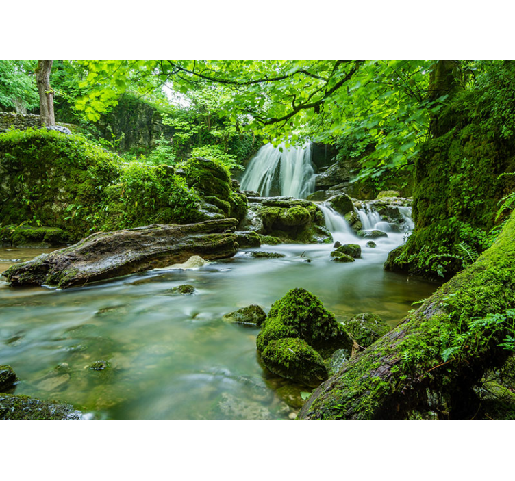 Fototapet natur lush waterfall ro - Tenstickers