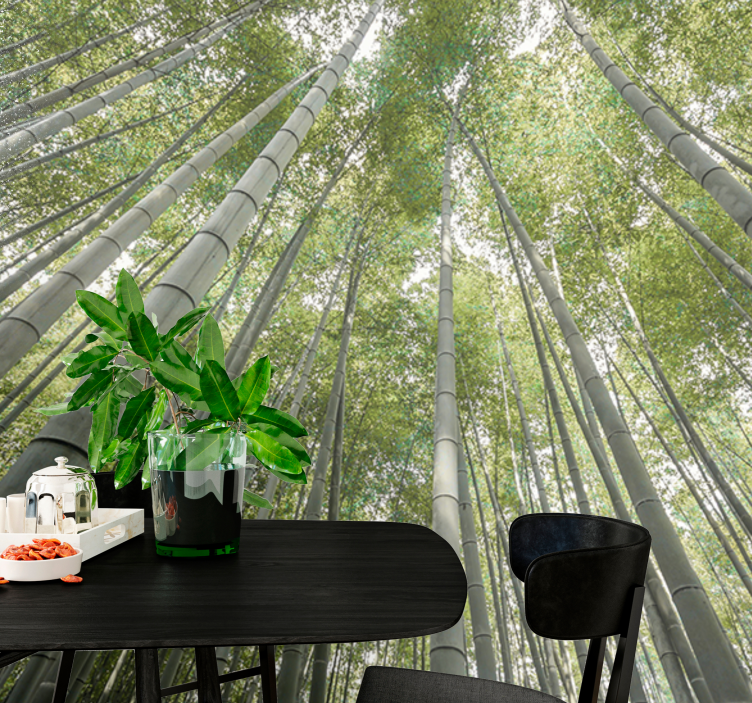 Bambus skoggrener fototapet trær - Tenstickers