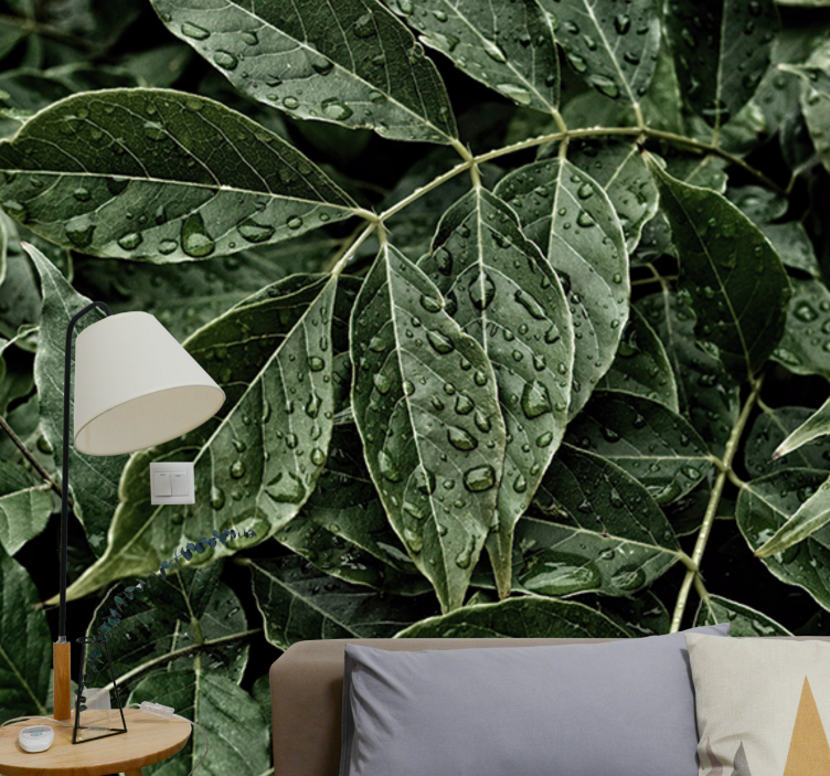 Blader med duggdråper fototapet stue - Tenstickers