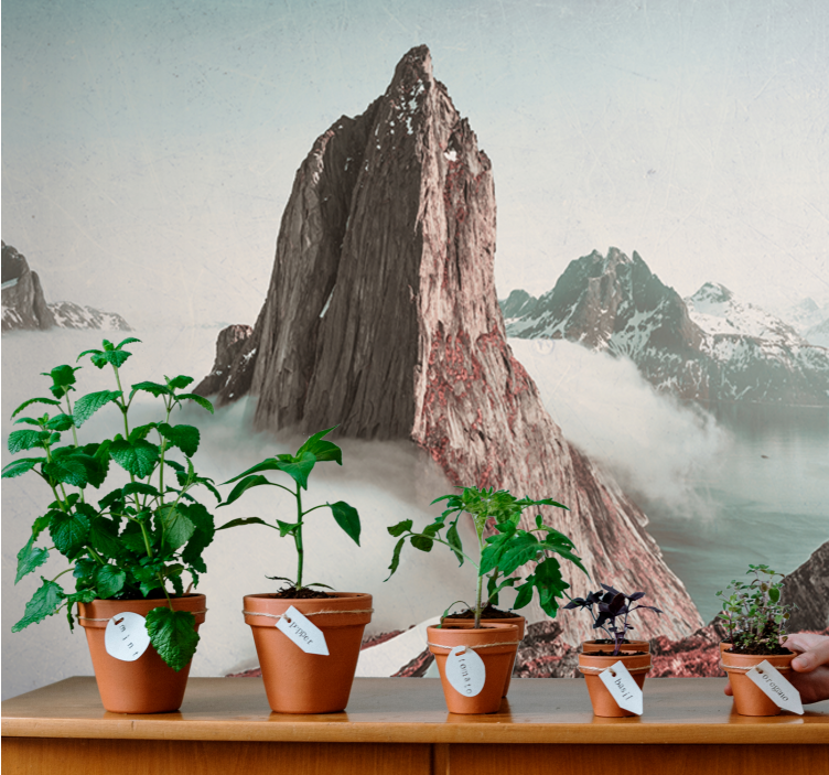 Fjell med tåke norge fototapet fjell - Tenstickers