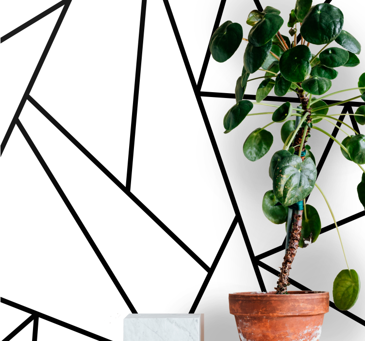 Fototapet abstrakt geometriske svarte linjer - Tenstickers