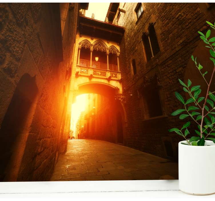 Fototapet barcelona historisk gotisk portal - Tenstickers