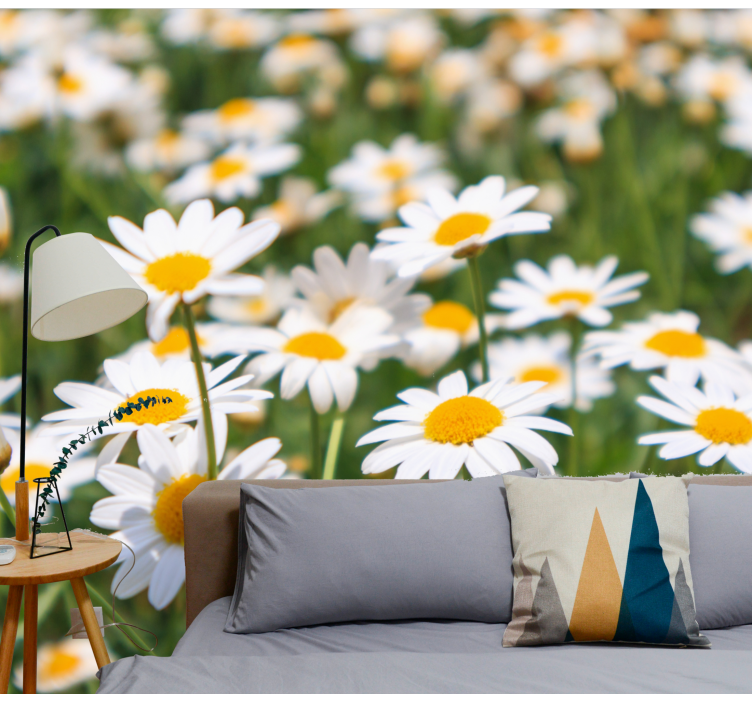 Fototapet blomster daisies blomstrer lyst - Tenstickers