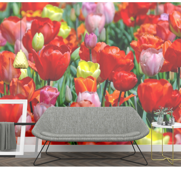 Fototapet blomster fargerik tulipaner eng - Tenstickers
