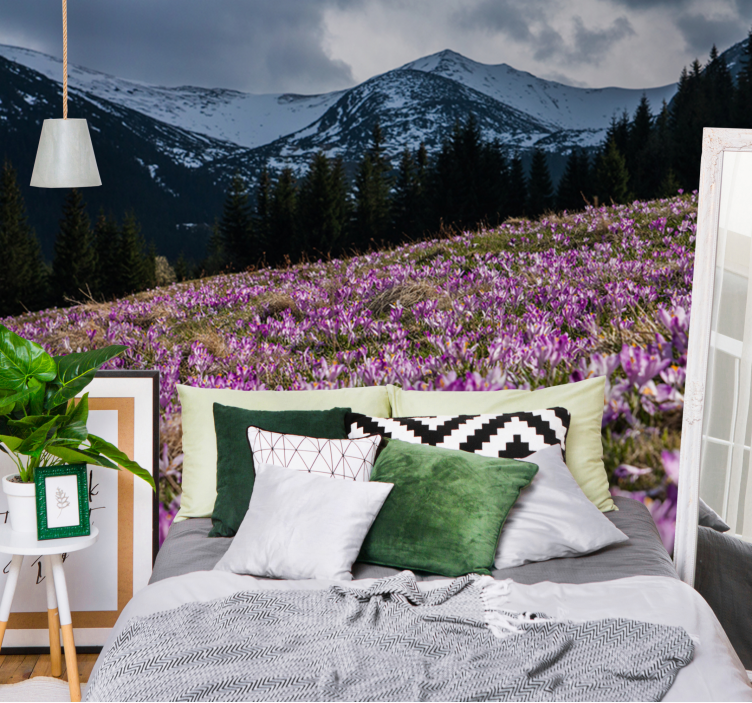 Fototapet blomster krokusblomsterfelt - Tenstickers