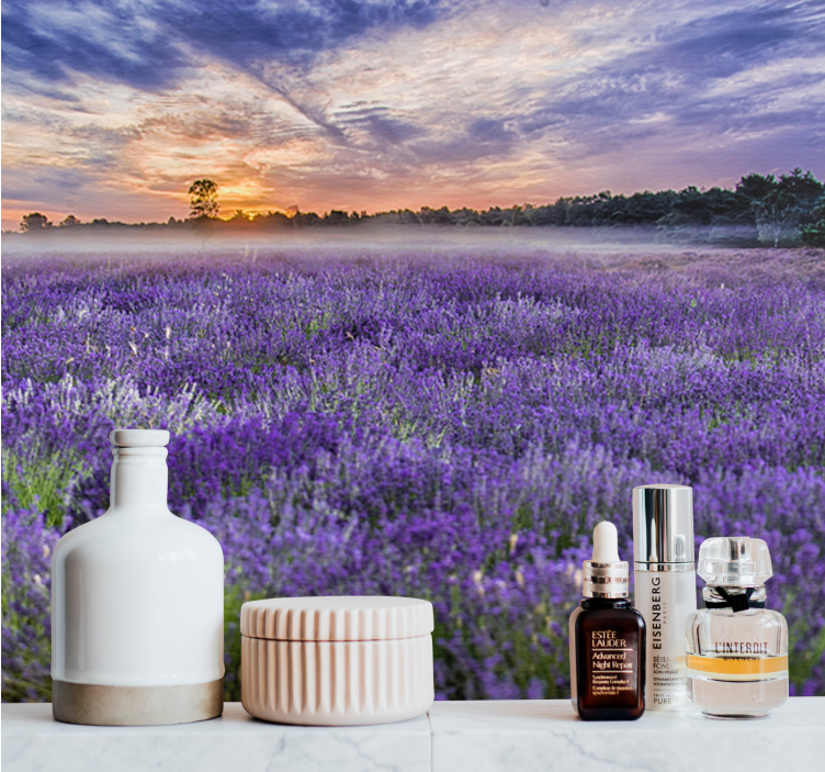 Fototapet blomster lavendelmark skumring - Tenstickers