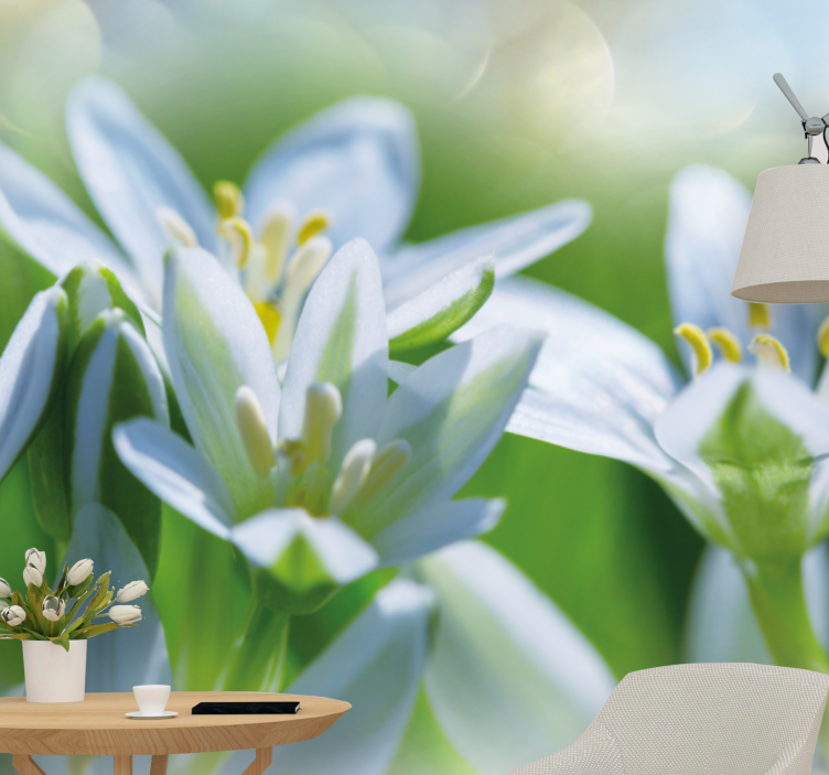 Fototapet blomster milde hvite blomster - Tenstickers