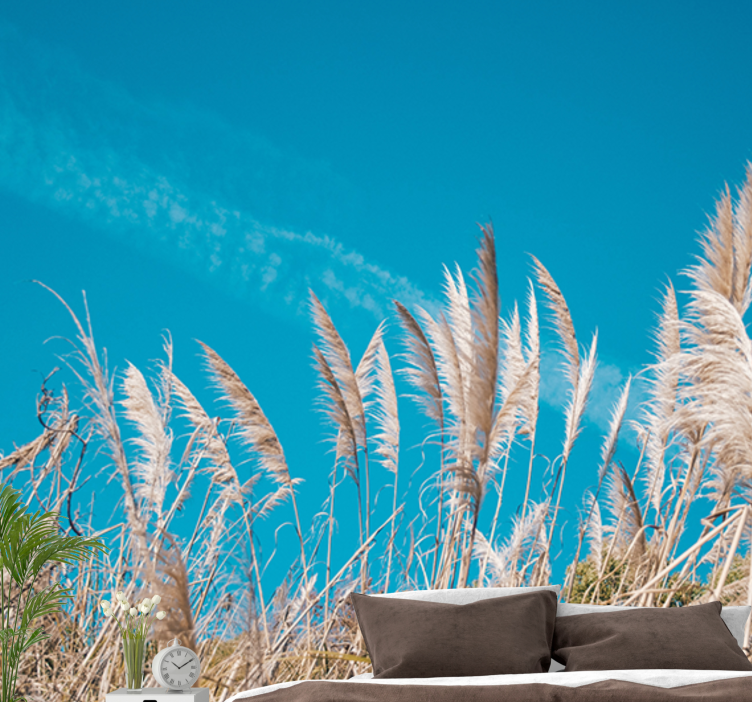 Fototapet blomster pampasgress ro - Tenstickers