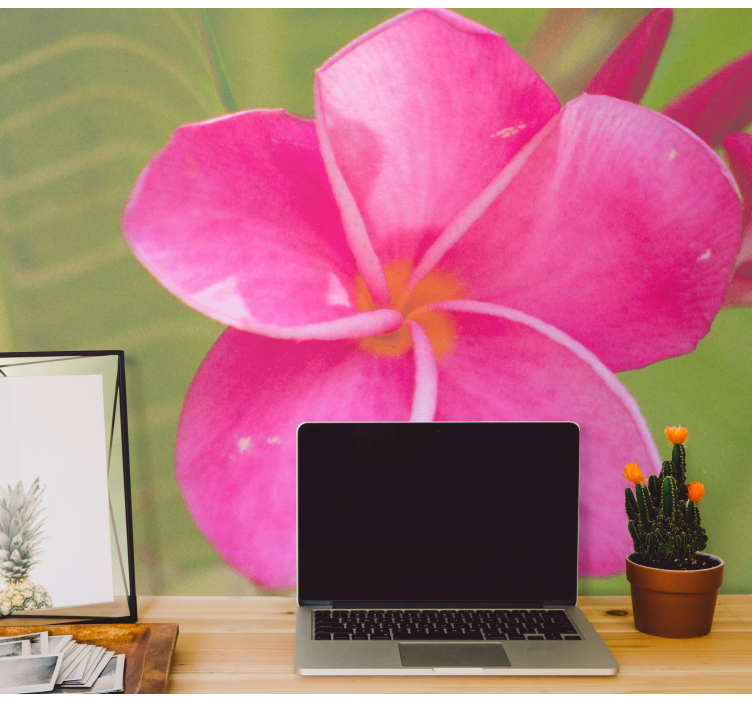 Fototapet blomster rosa blomsterdetaljer - Tenstickers