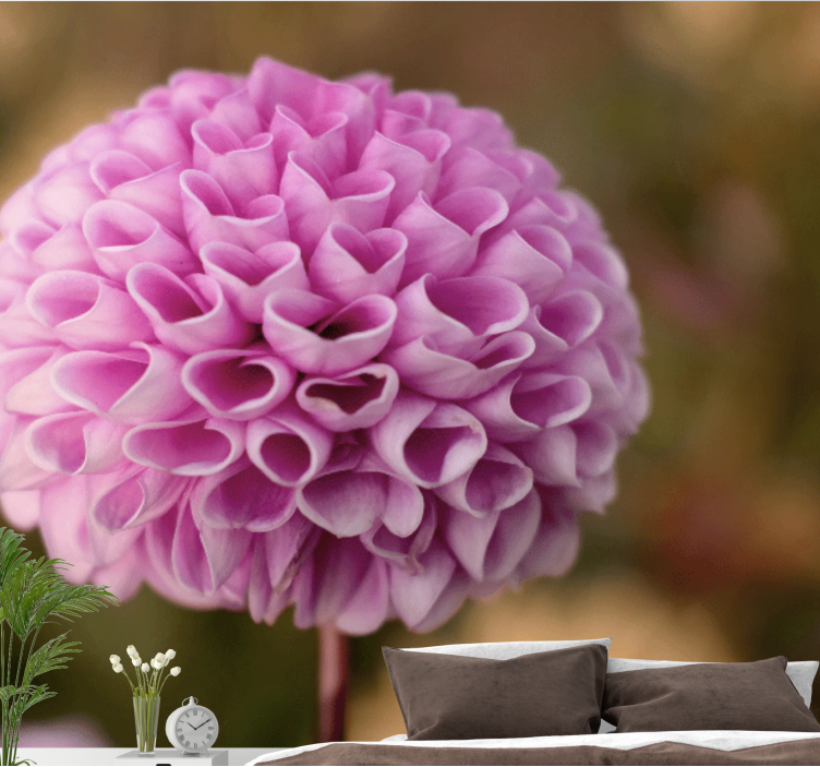 Fototapet blomster rosa blomstersfære - Tenstickers