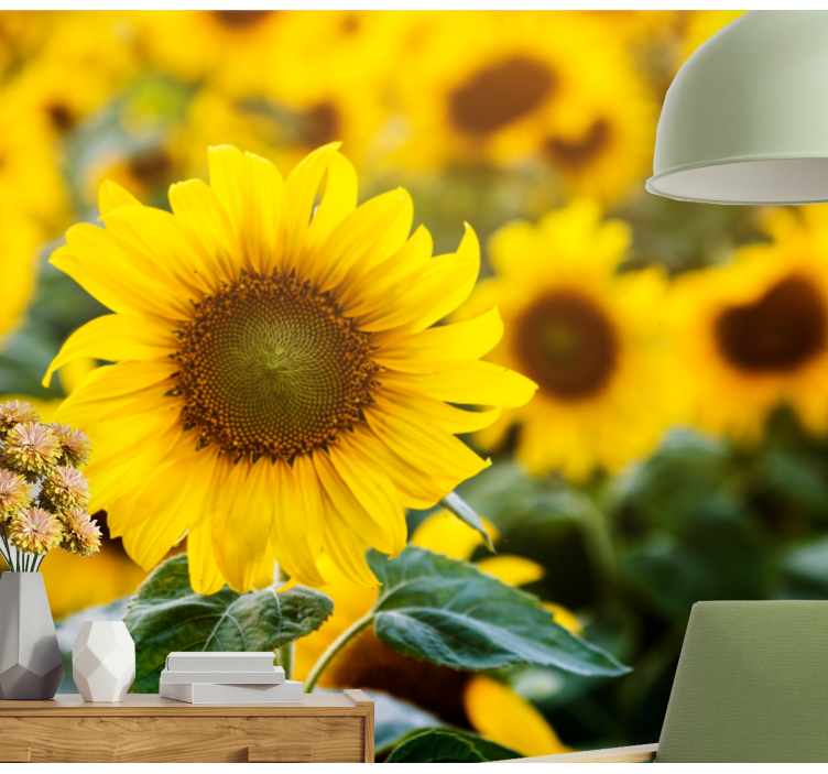 Fototapet blomster solsikkefelt blomstring - Tenstickers