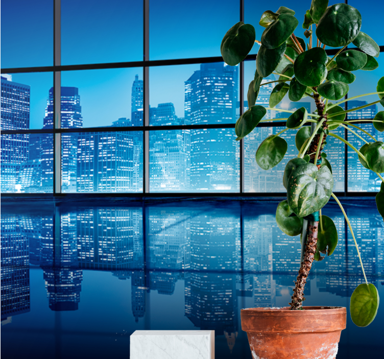 Fototapet byer urbane nattlandskap refleksjon - Tenstickers